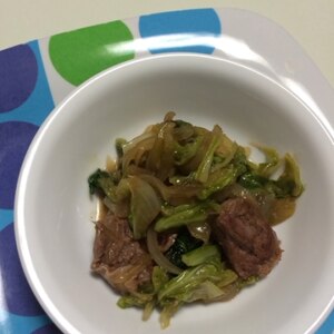 スタミナ抜群☆肉野菜炒め